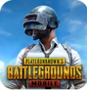 pubg地铁逃生下载官方正版v3.3.0