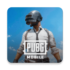 pubg国际服手游下载官方正版v4.1.0
