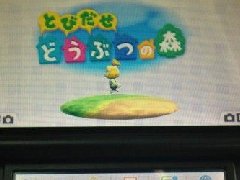Gateway 3ds 1.1固件运行实际评测